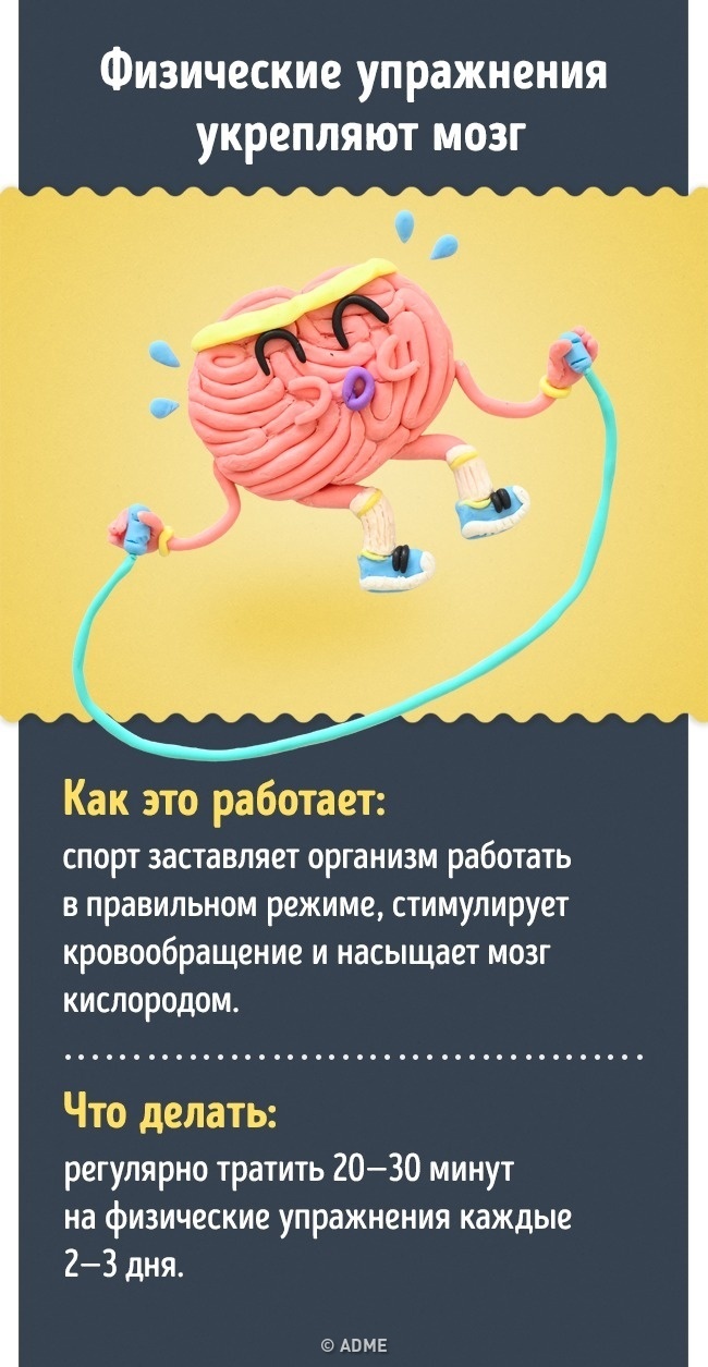 Как насытить мозг кислородом. Тренировка мозга. Как улучшить работу мозга. Упражнения для активности мозга. Что улучшает работу мозга.