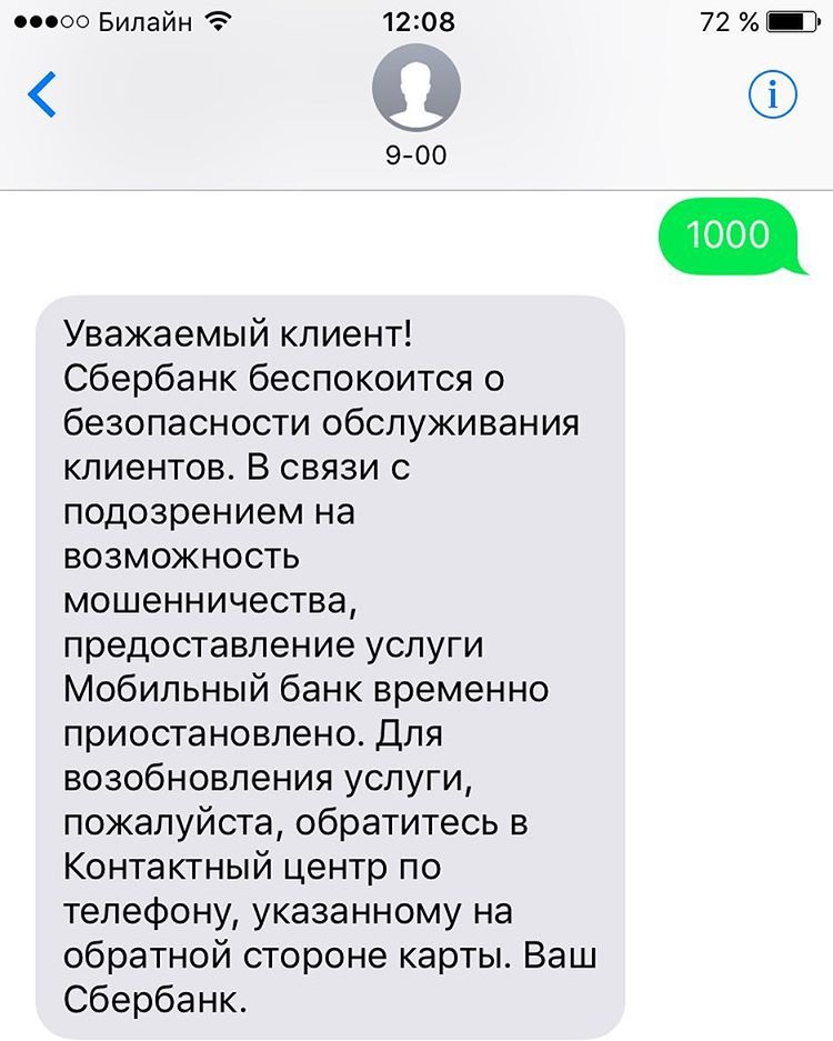 How I Became a Fraudster or Sberbank Suspicions - My, Sberbank, Dementia, Fraud, Text, Photo