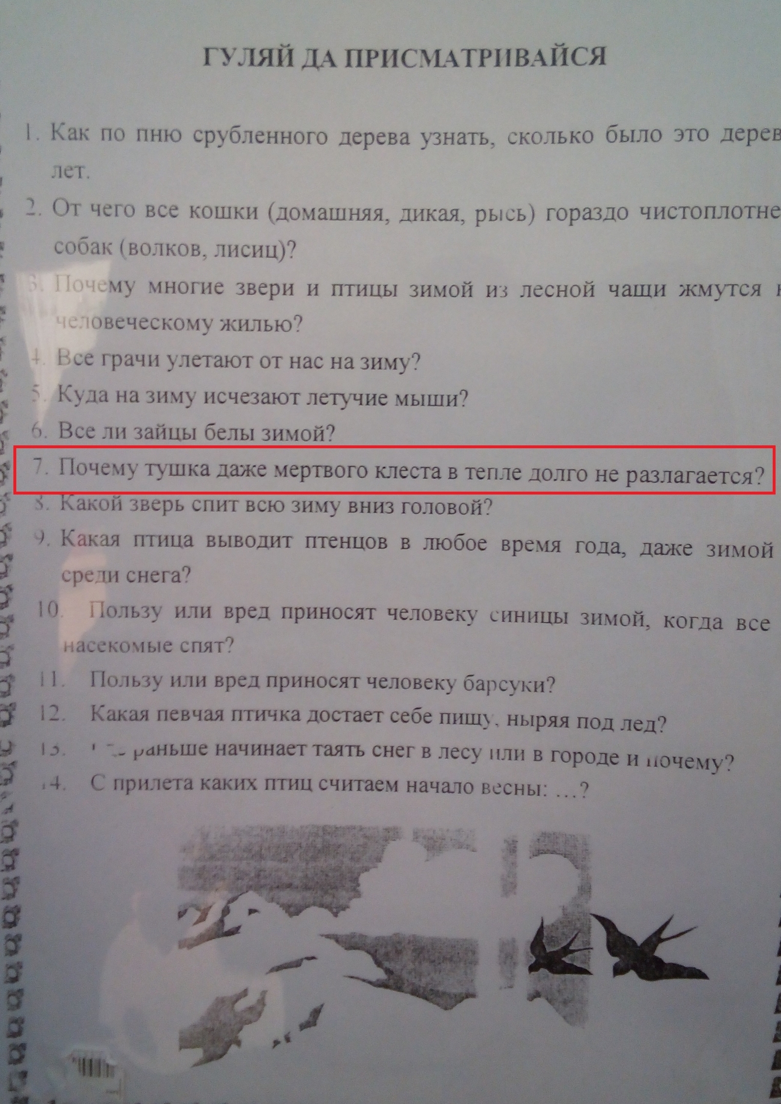 А действительно, почему? | Пикабу