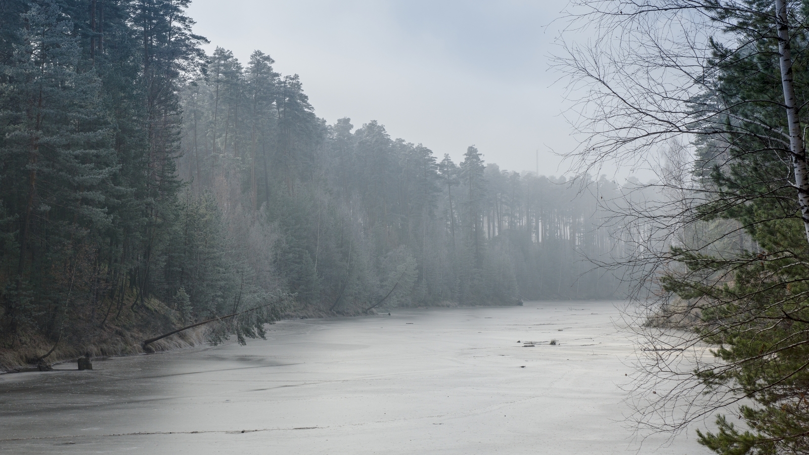 Varlamovka, Zavolzhye - My, Chuvashia, Zavolzhye, Cheboksary, Forest, Pine, Winter, Spring, Landscape, Longpost