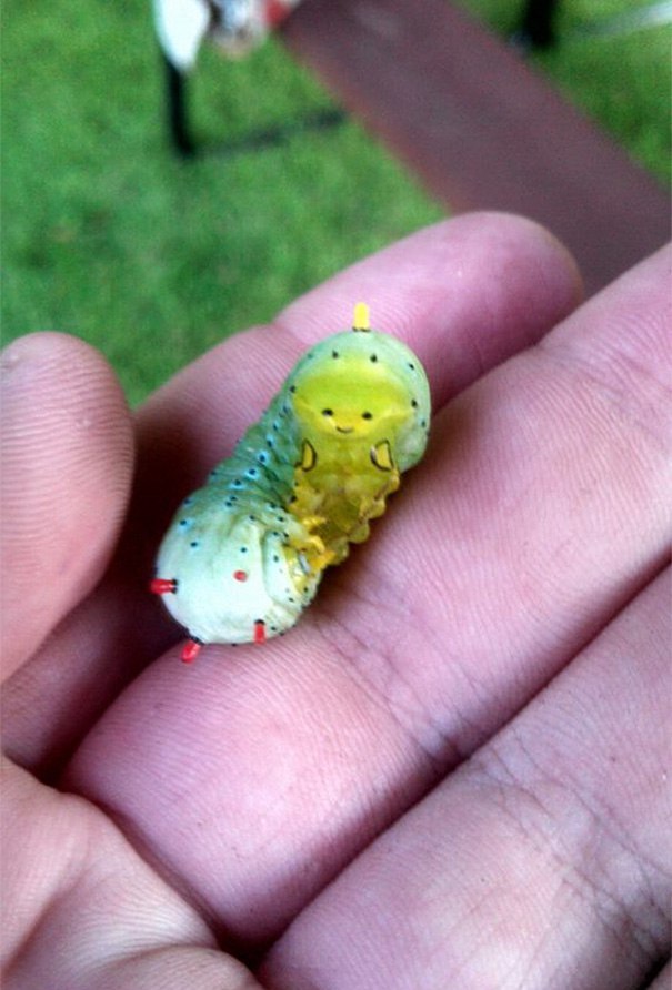 Satisfied caterpillar - Caterpillar, Smile, Color