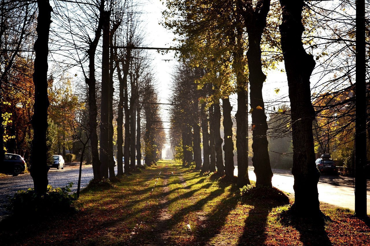 Kaliningrad. st. Telman at different times of the year - Kaliningrad, Beautiful, The photo, , Koenigsberg, Longpost