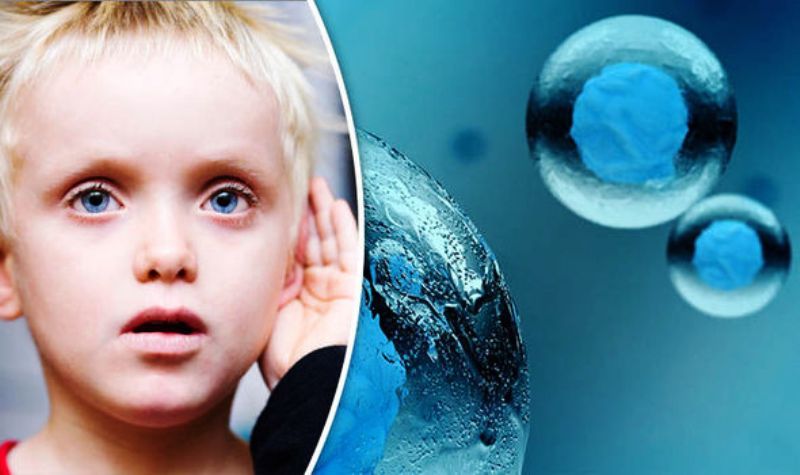 Stem cells could be used to treat deafness - The science, Health, Deafness, Longpost, Stem cells, The medicine