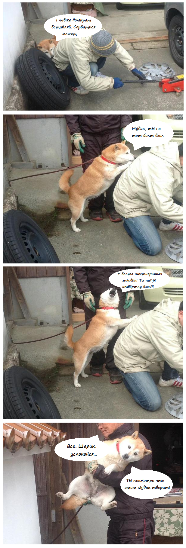 Each of us at least once came across such advisers - Garage, Auto, Repair, Advisers, Shiba Inu, Mat, Dog, Longpost