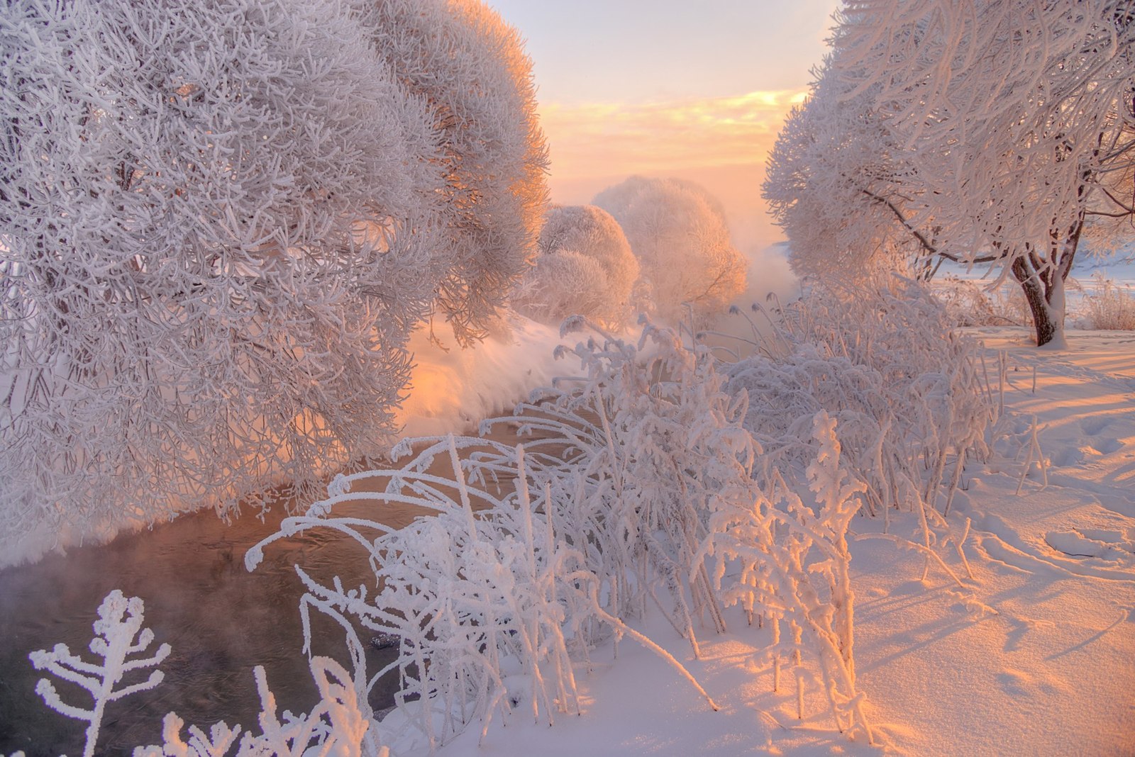 Murinsky creek and surroundings - , Saint Petersburg, Winter, Russia, Photo, Nature, Sunset, Landscape, Longpost