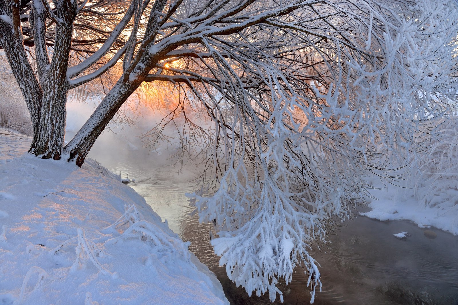 Murinsky creek and surroundings - , Saint Petersburg, Winter, Russia, Photo, Nature, Sunset, Landscape, Longpost