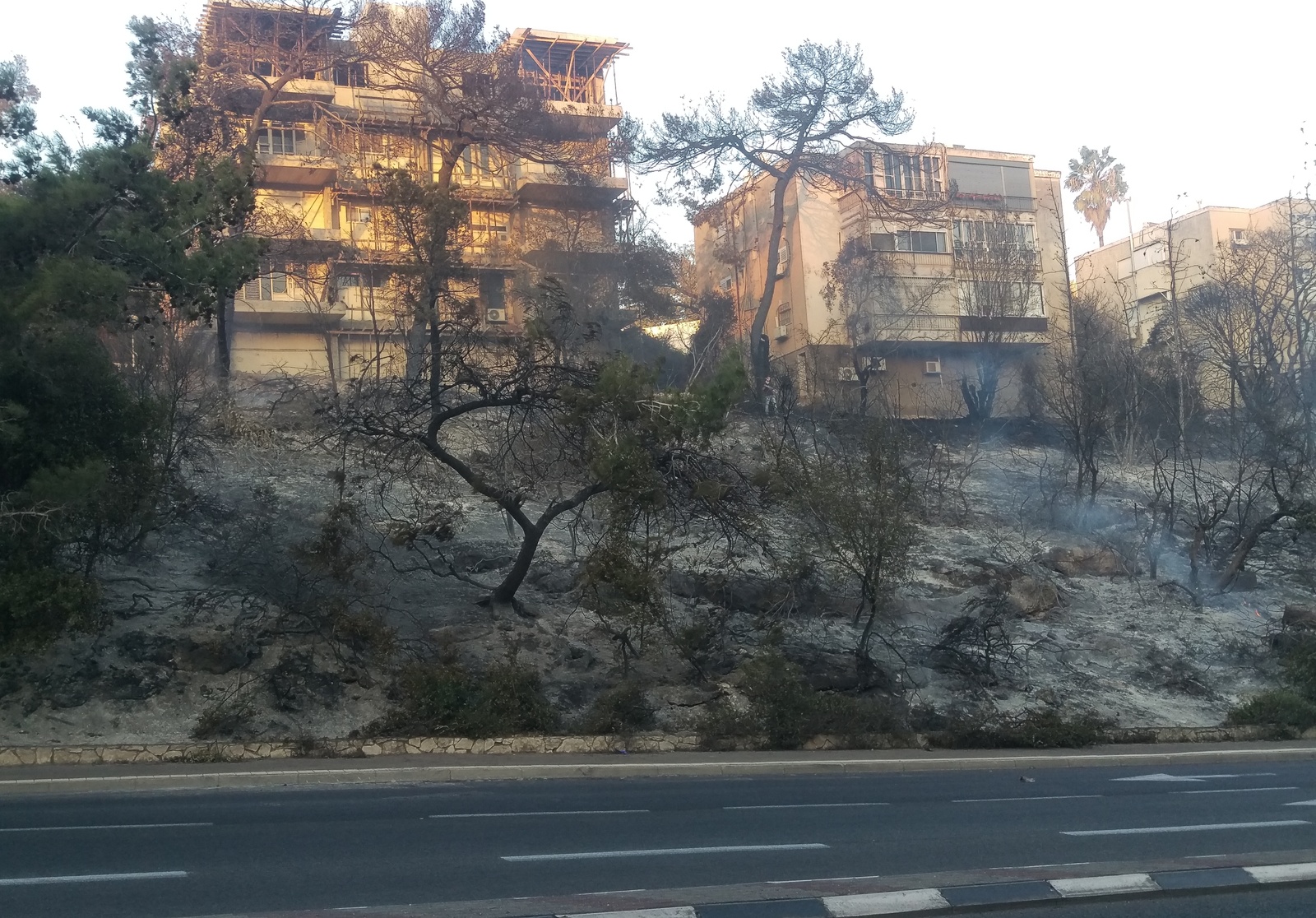 A fire in Haifa, Israel, through the eyes of an eyewitness. - My, Fire, Haifa, Longpost