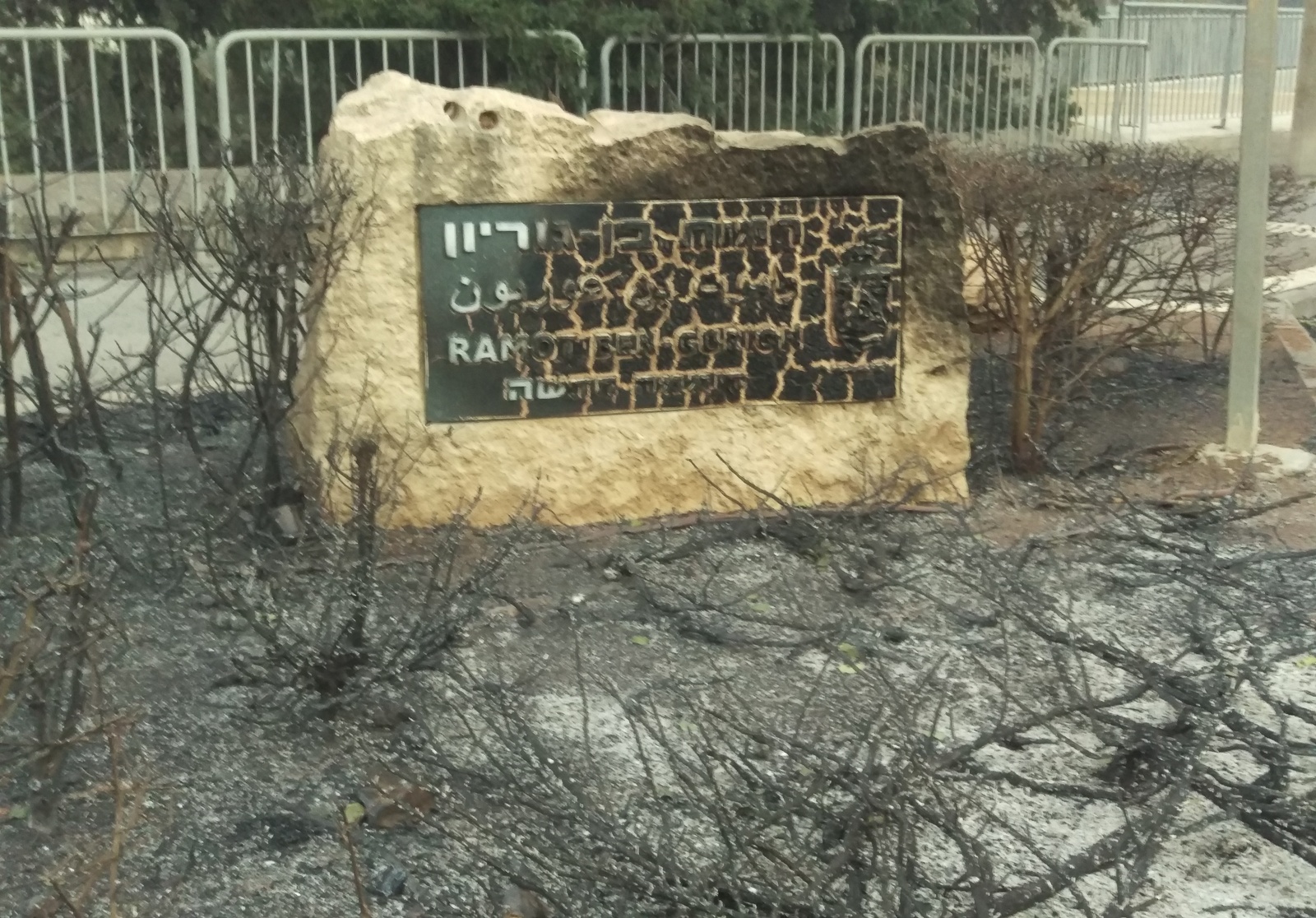 A fire in Haifa, Israel, through the eyes of an eyewitness. - My, Fire, Haifa, Longpost