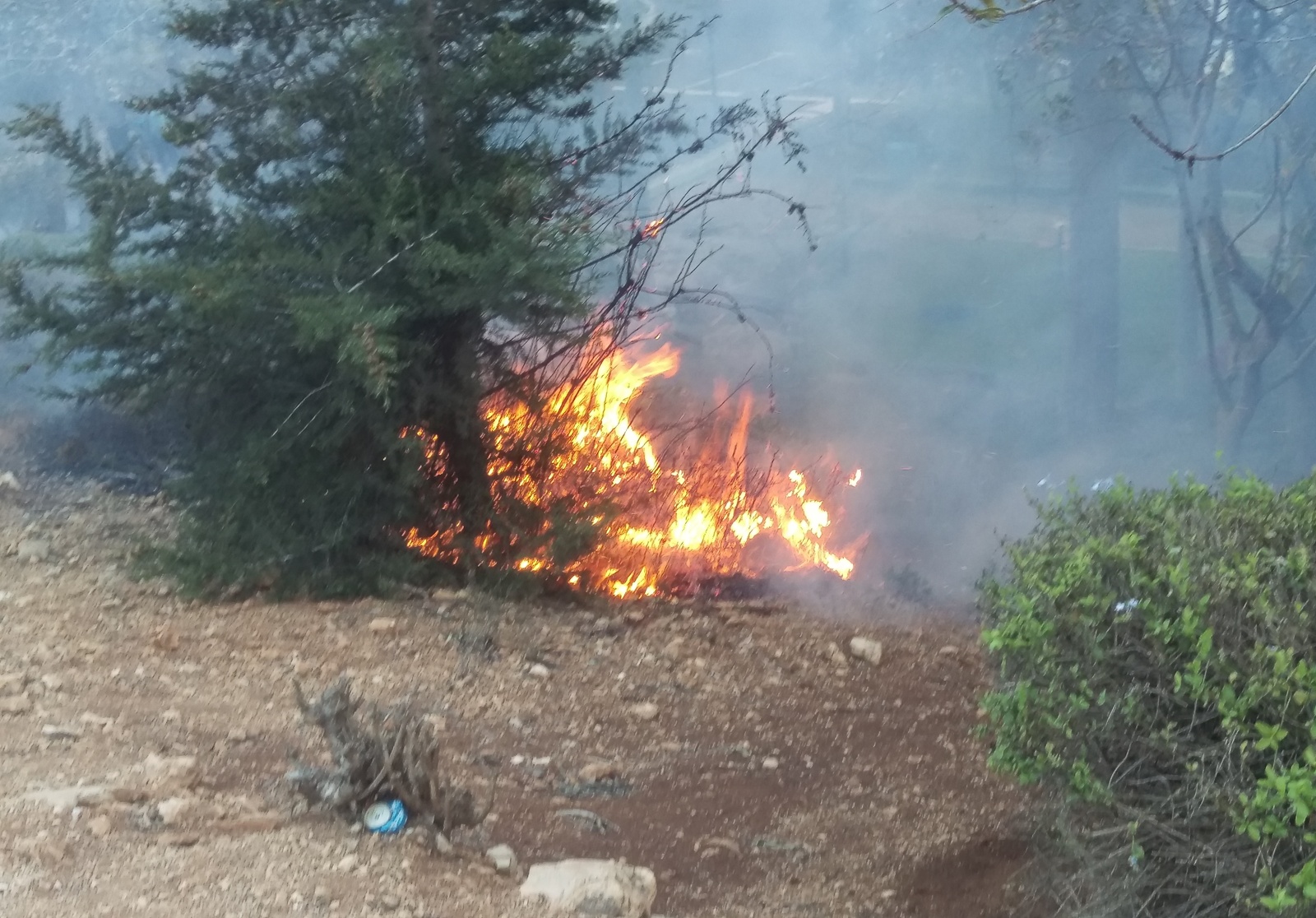 A fire in Haifa, Israel, through the eyes of an eyewitness. - My, Fire, Haifa, Longpost