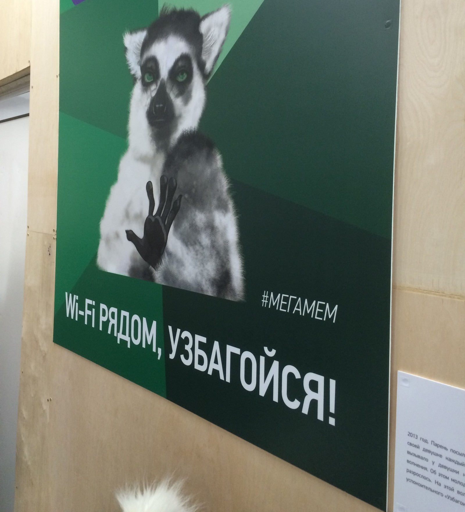 MEGAMEM at the VDNKh ice rink - My, Ice rink, Memes, Uzbagoysya, From an old