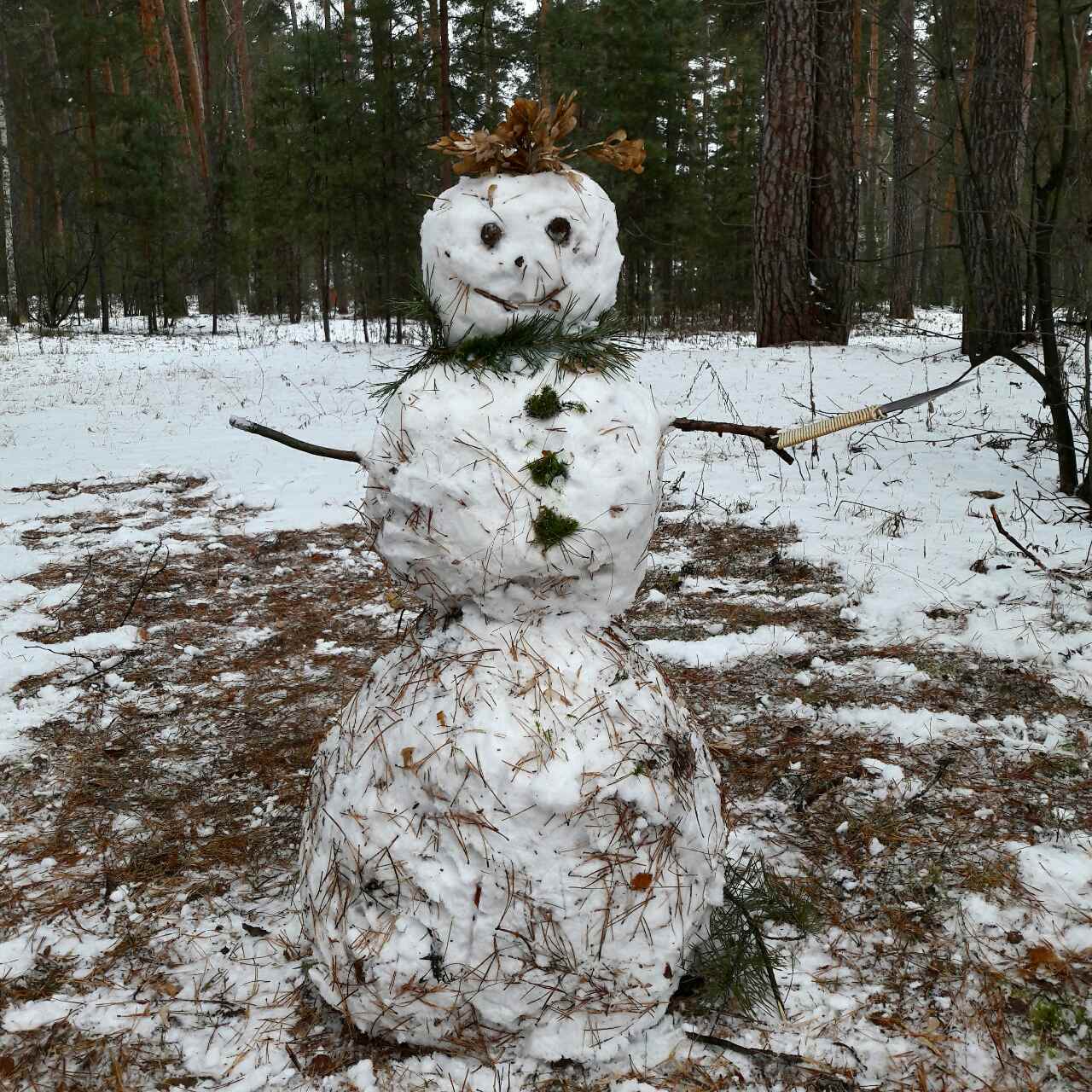 We sculpted as best we could... - My, Snow, snowman, The winter is coming