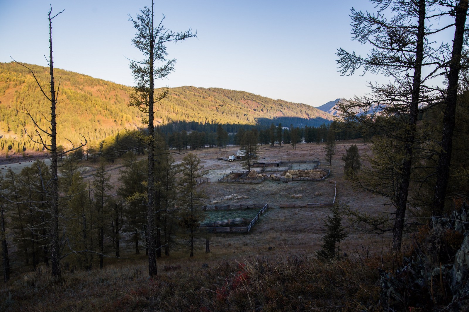 How I lived in the taiga - My, Taiga, Mountain Altai, Nature, Photo, Relaxation, Longpost, Altai Republic