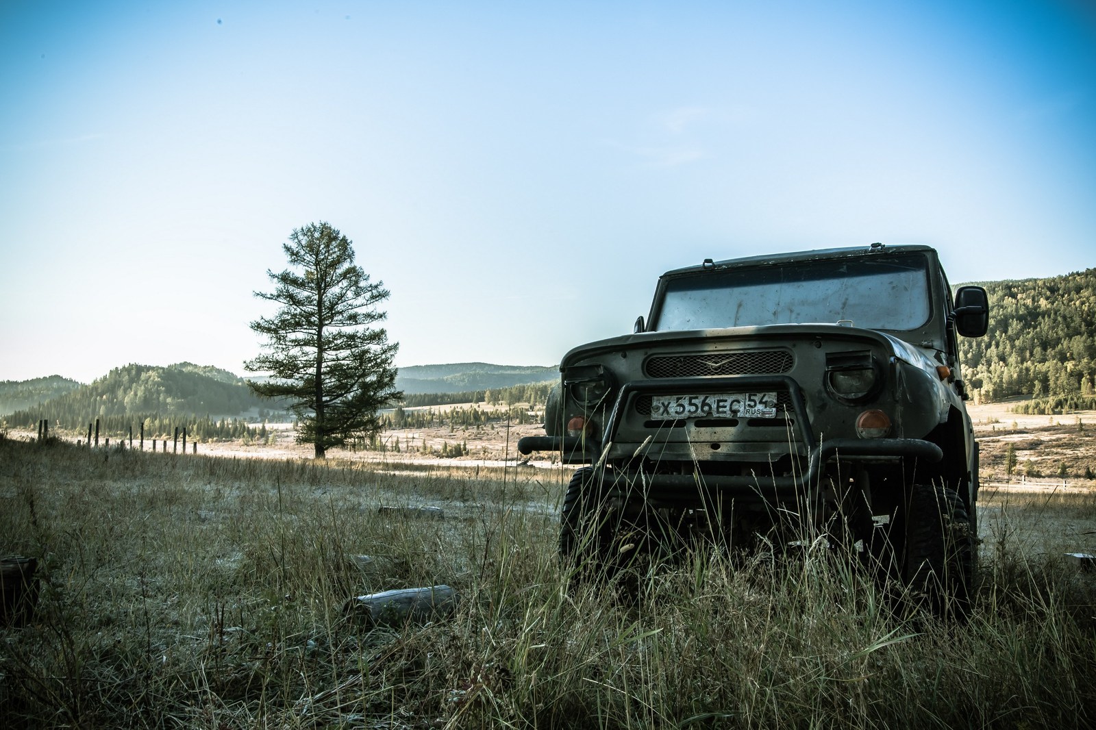 How I lived in the taiga - My, Taiga, Mountain Altai, Nature, Photo, Relaxation, Longpost, Altai Republic