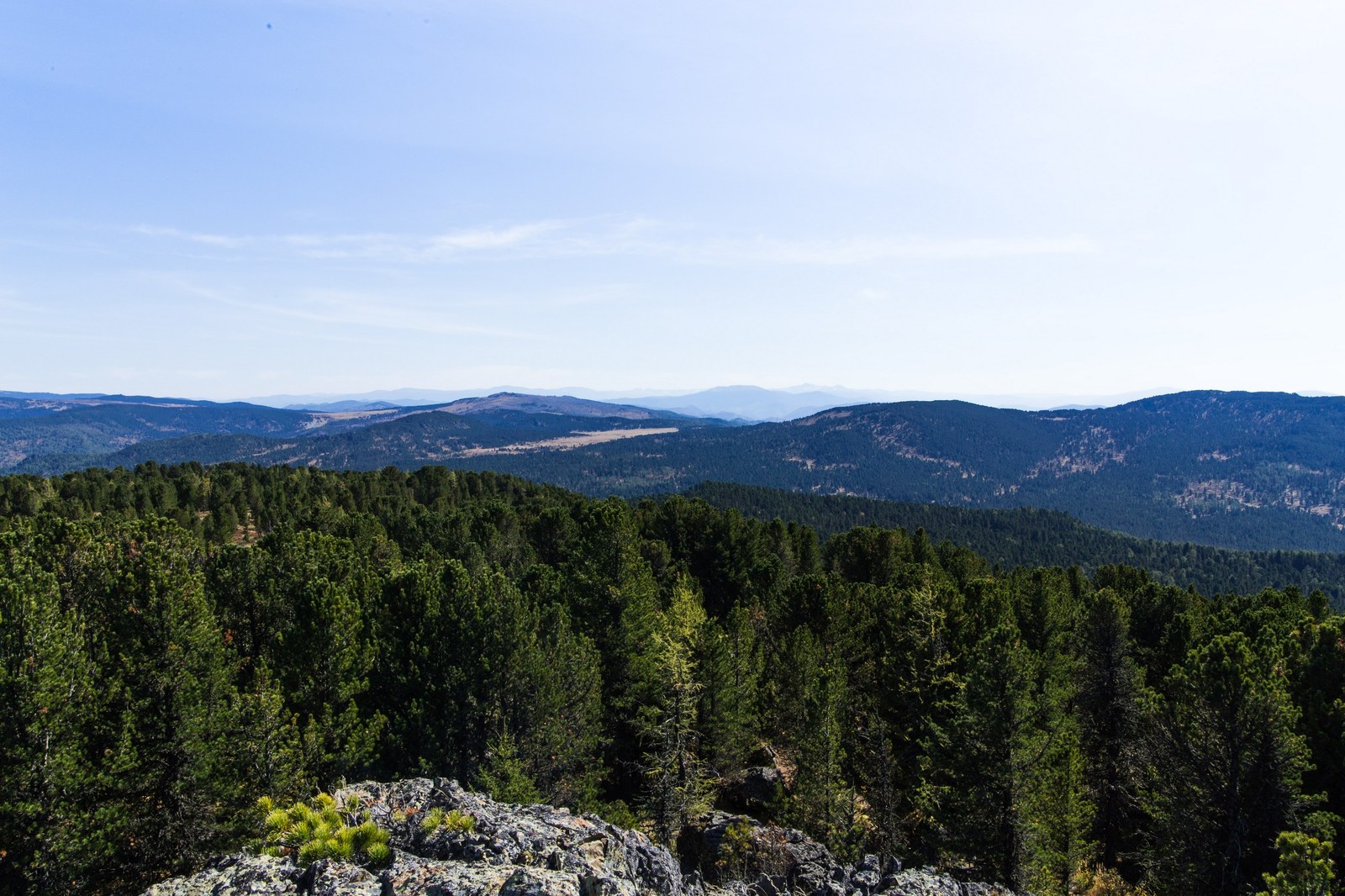 How I lived in the taiga - My, Taiga, Mountain Altai, Nature, Photo, Relaxation, Longpost, Altai Republic