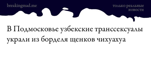 Какая-то дичь - Breaking mad, Подмосковье, Транссексуалы, Собака