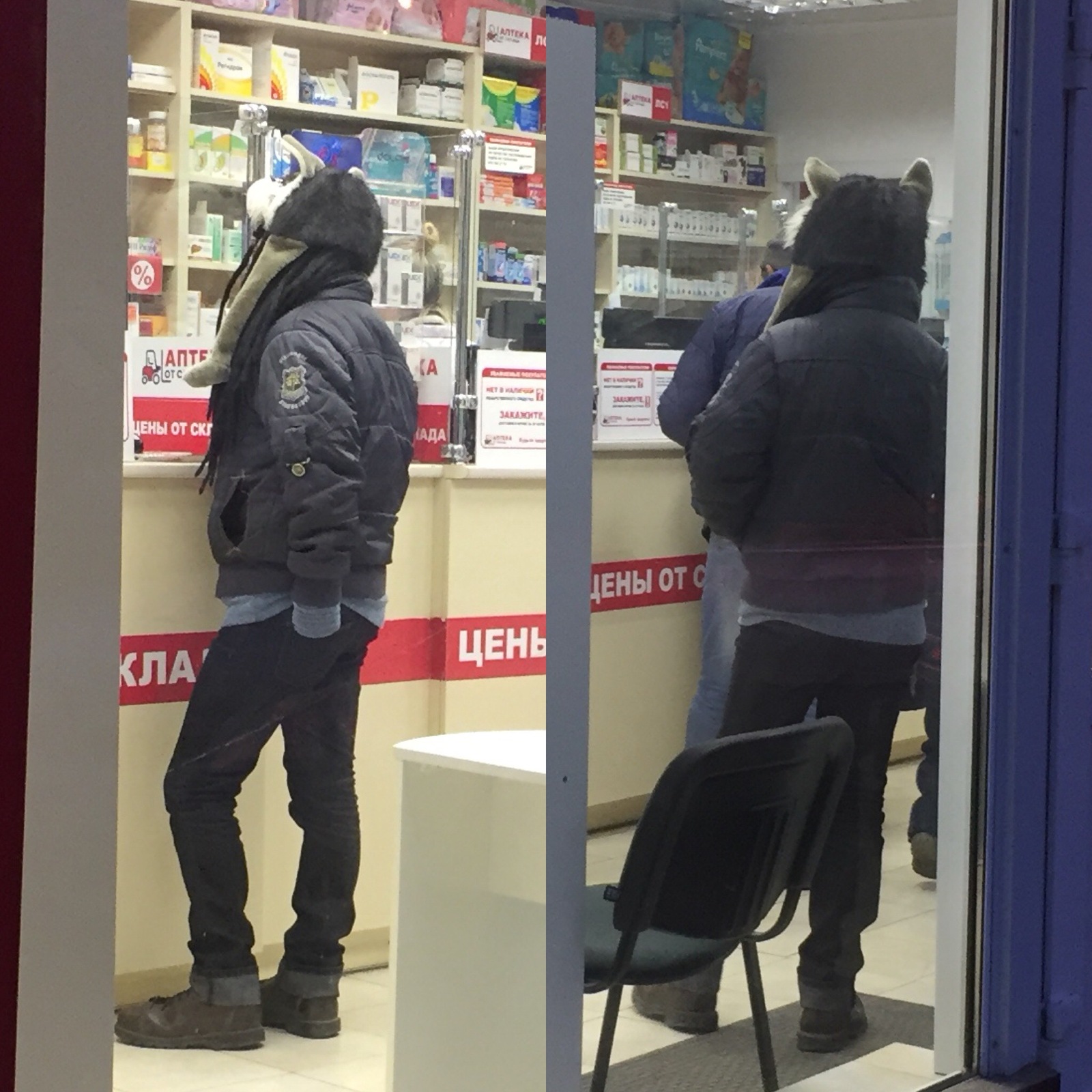 Today at the pharmacy - My, wolf hat, Hipster