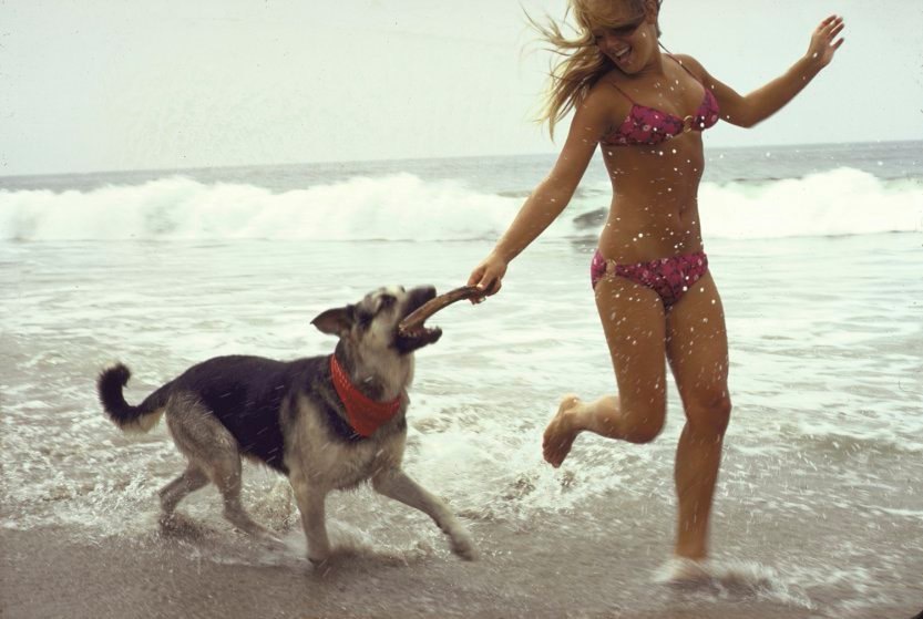 Summer 1970 Archive - Summer, Sea, Heat, Past, Girls, 20th century, Beach, Longpost