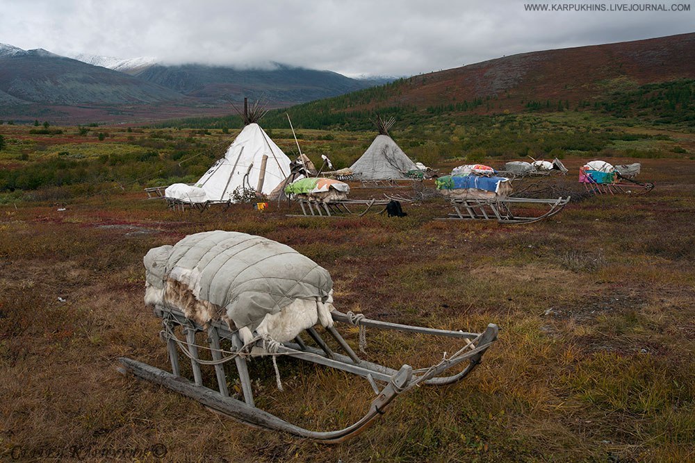 Polar Urals - Russia, Sob, , Photo, Polar Urals, Nature, Landscape, Autumn, Longpost