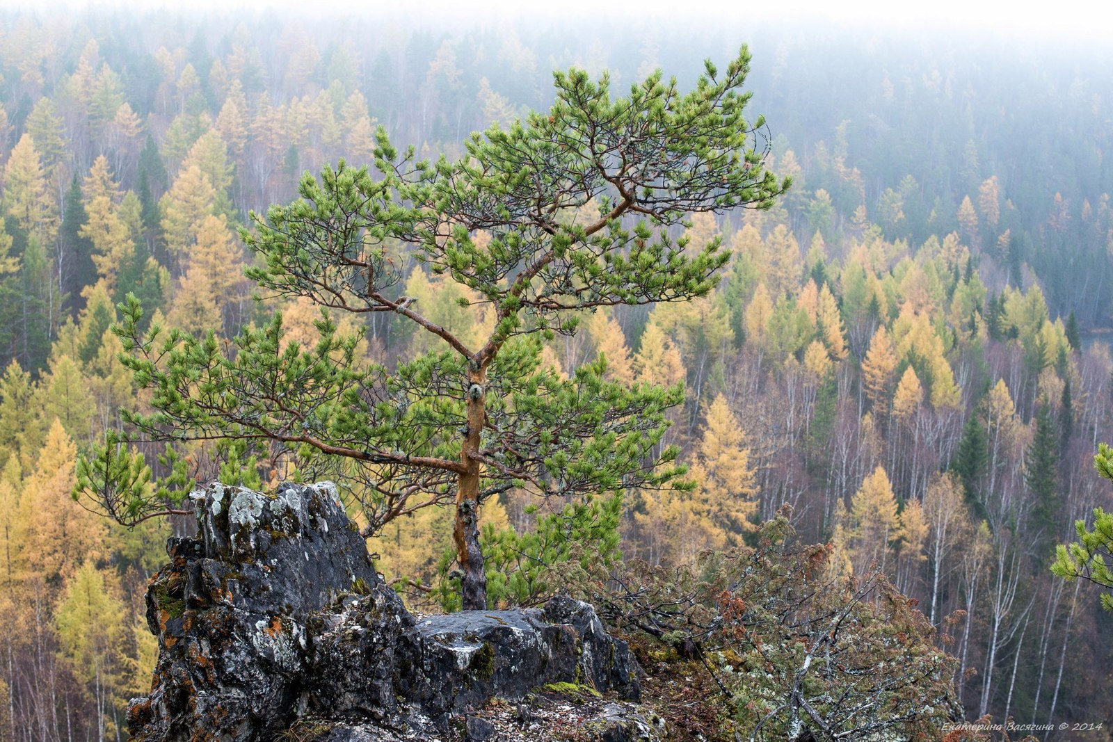 Ивдельский лес - Ивдельский лес, Северный Урал, Россия, Фото, Природа, Пейзаж, Осень, Сентябрь, Длиннопост