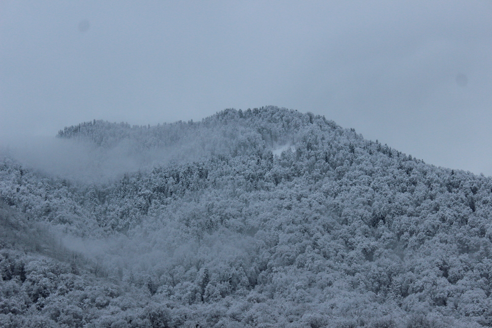 Winter has come. - My, Photo, The mountains, Snow, beauty, Fog