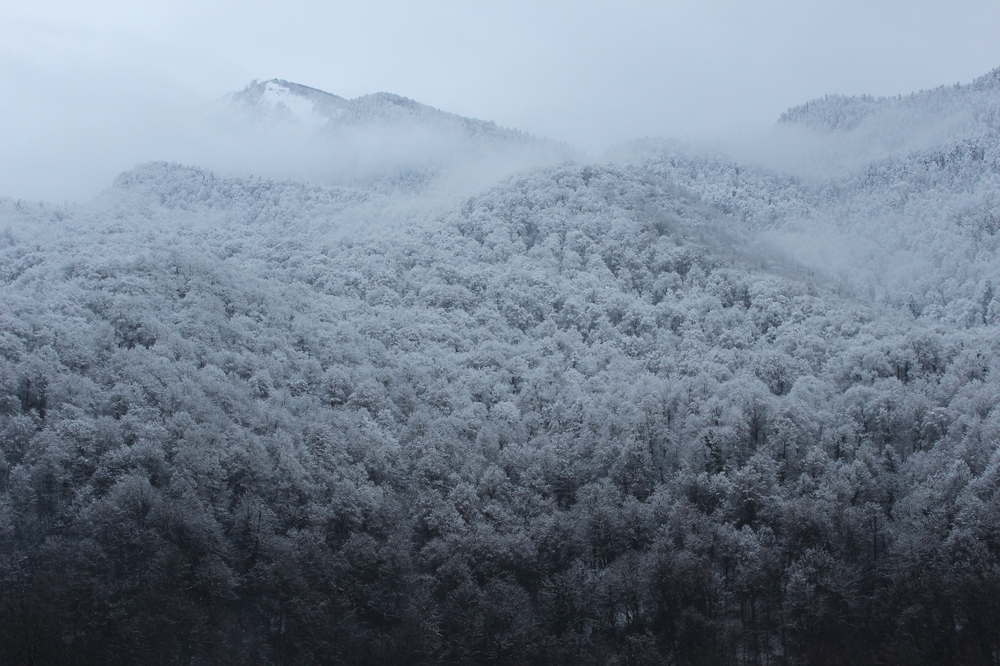 Winter has come. - My, Photo, The mountains, Snow, beauty, Fog