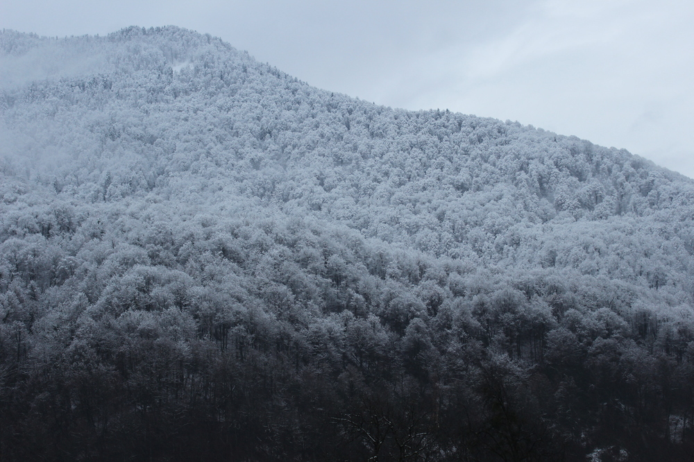 Winter has come. - My, Photo, The mountains, Snow, beauty, Fog