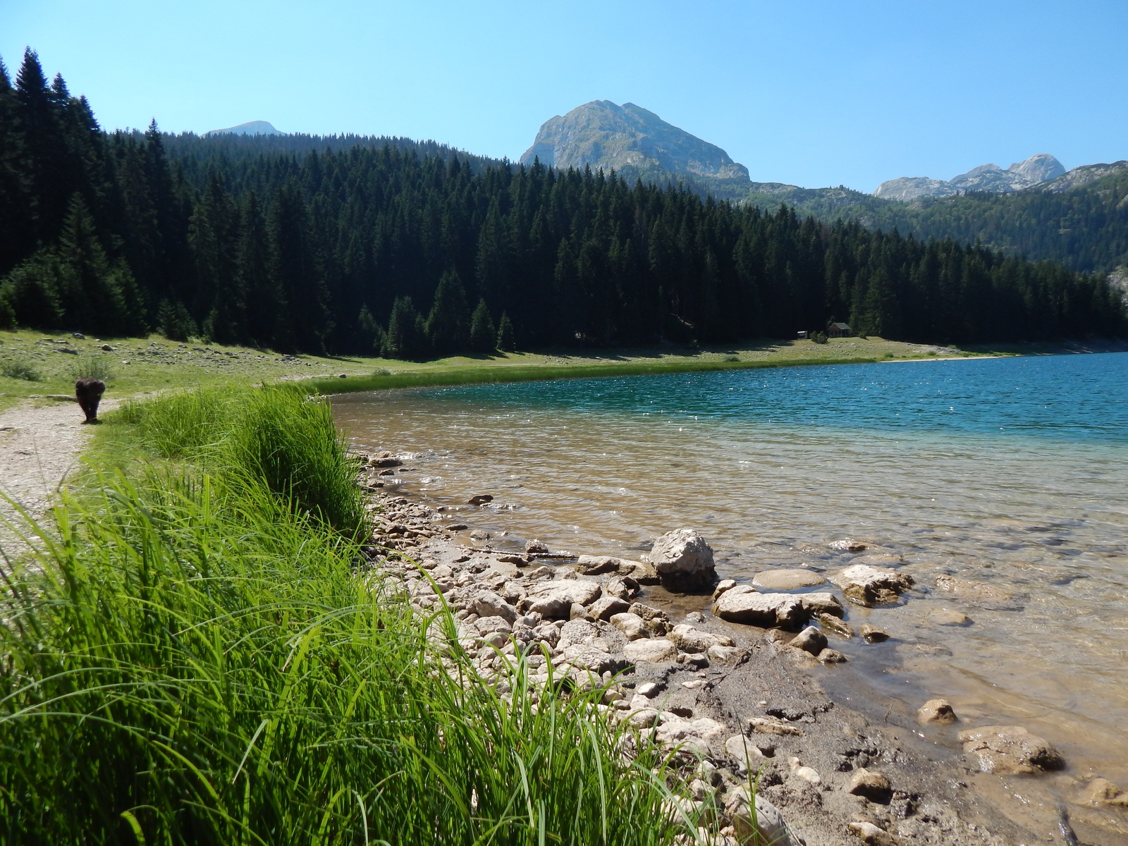 Crno jezero весной