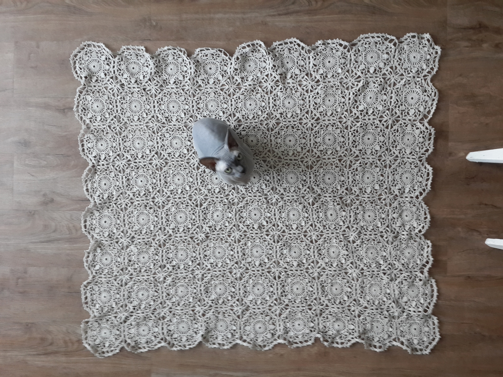 Crochet tablecloth - My, Knitting, Crochet, , Accessories, Video, Longpost