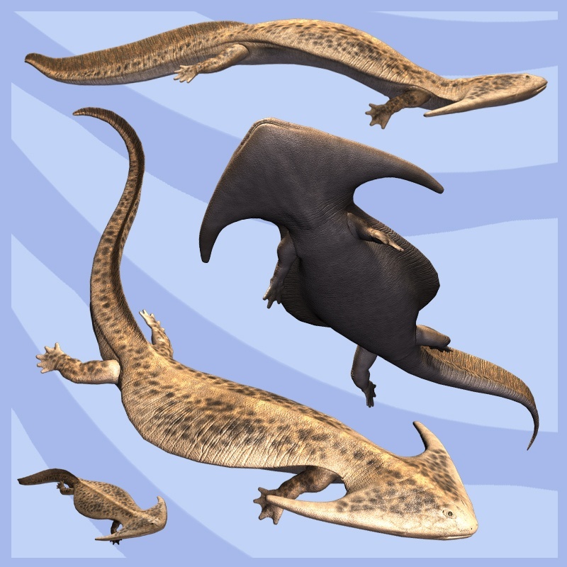 Boomerangosalamander from the Carboniferous - Amphibian, Paleontology, , Longpost