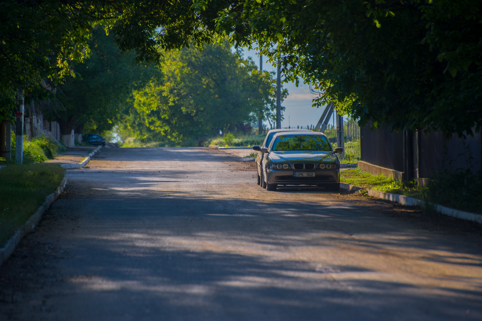 A little bit of summer... :) - My, Summer, Road, Tree, Photo