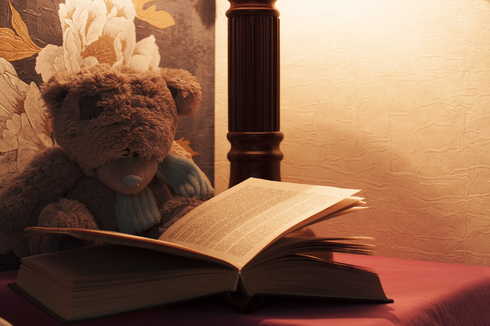 Bedtime stories... - My, Canon, Photo, Books, Evening, The photo