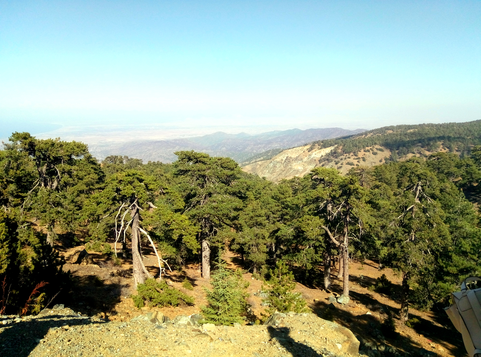 Cyprus Part 1 - My, Cyprus, Larnaca, Limassol, Landscape, Photo, Longpost