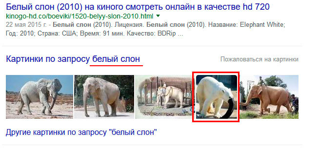 Белый слон - Слоны, Google, Белый медведь