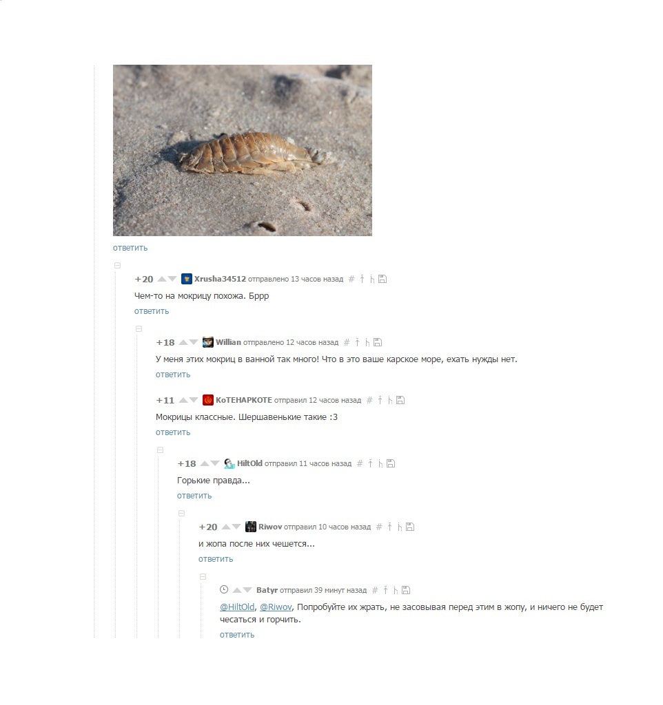 The comments never cease to amaze, never! - Comments, Comments on Peekaboo, Woodlice