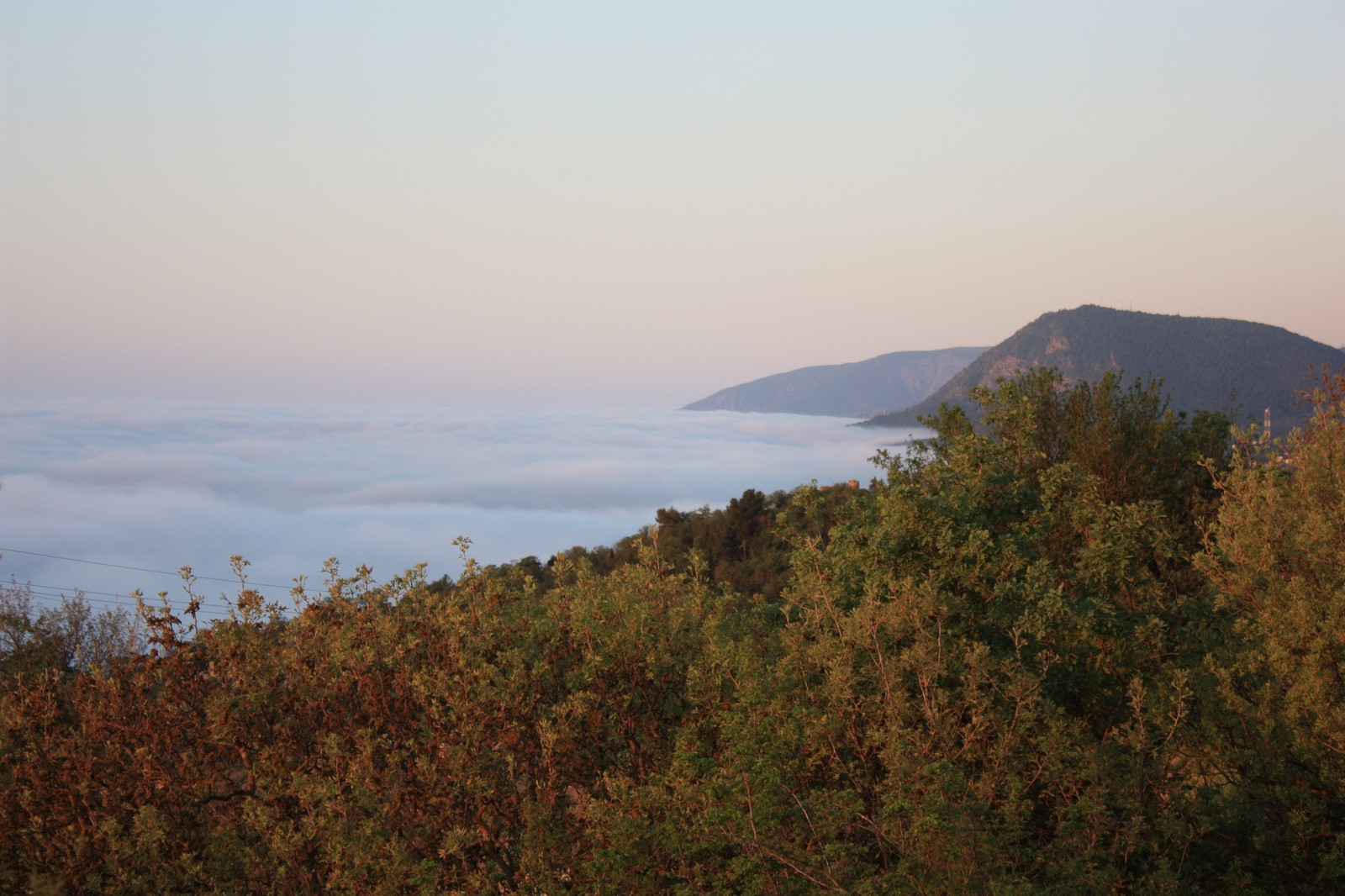 White-maned horses (Crimea, Alushta, 2013) - My, Nature, Fog, Alushta, Crimea, Longpost