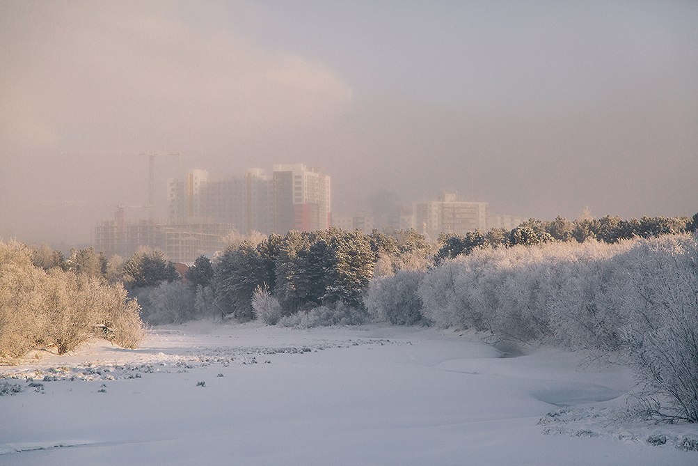 Зимний Сургут - Сургут, Зима, Россия, Снег, Мороз, Природа, Пейзаж, Собака, Длиннопост