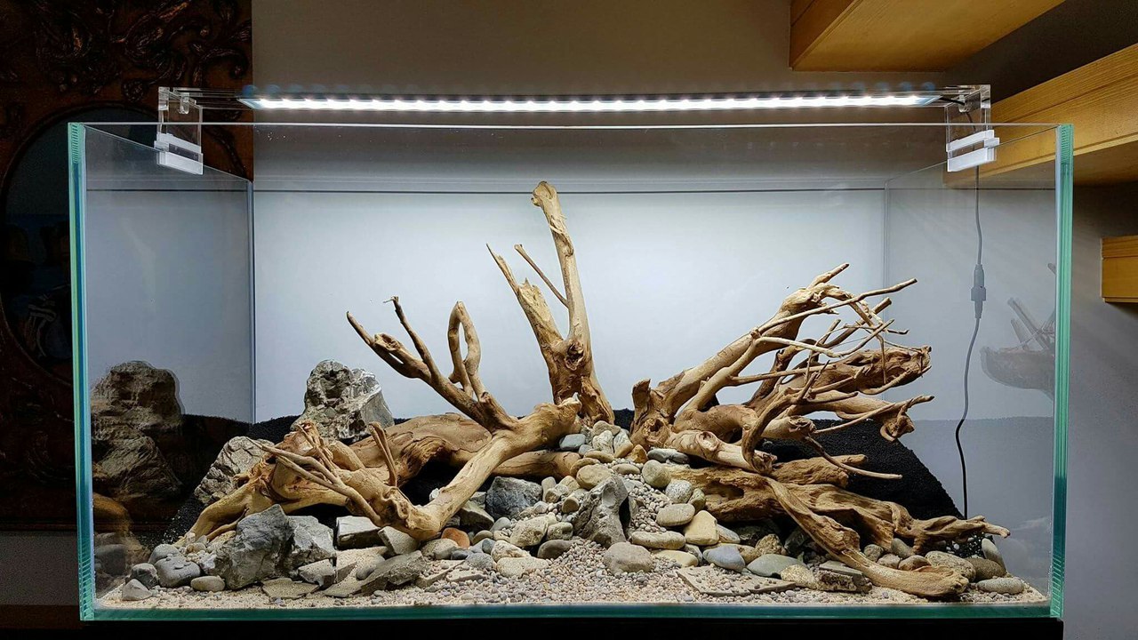Камни и коряги в аквариуме фото