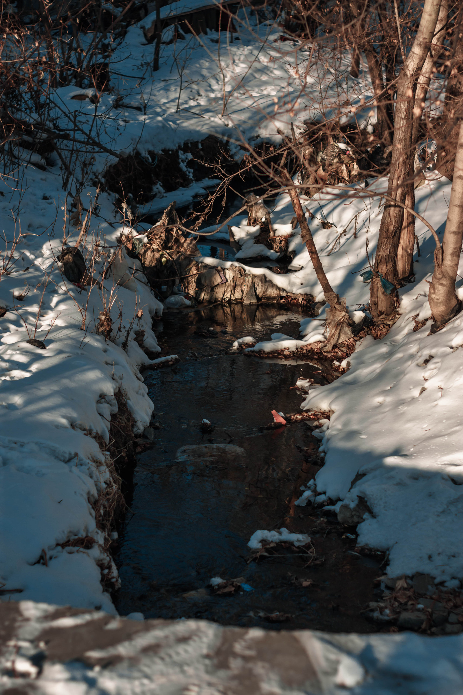 Winter selection of my photos - My, Photo, Winter, Cold, Khabarovsk, Longpost