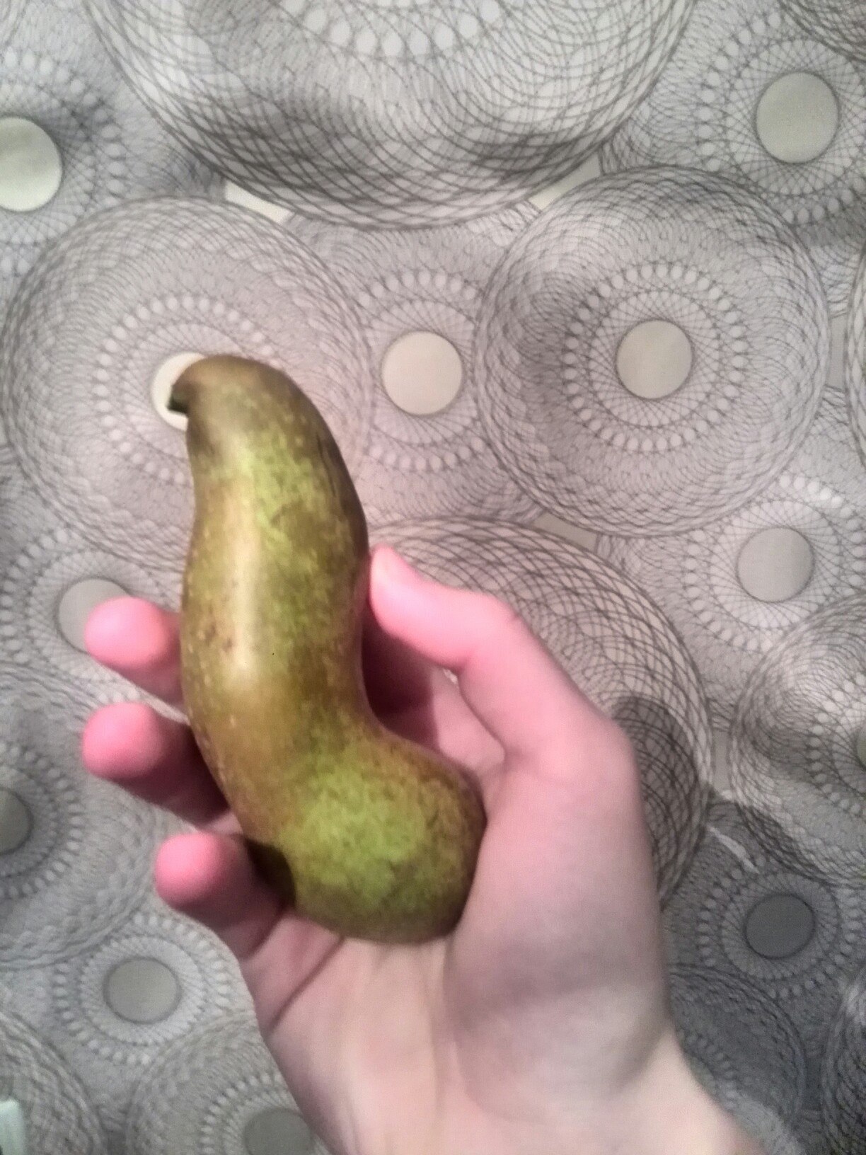 A very strange pear or an unsuccessful reincarnation of a dove? - My, Photo, Pear, Memes, Pigeon, Kurlyk, Reincarnation, Tags are clearly not mine, Longpost