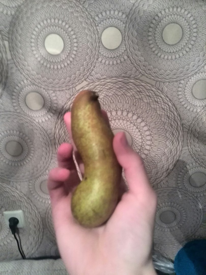 A very strange pear or an unsuccessful reincarnation of a dove? - My, Photo, Pear, Memes, Pigeon, Kurlyk, Reincarnation, Tags are clearly not mine, Longpost