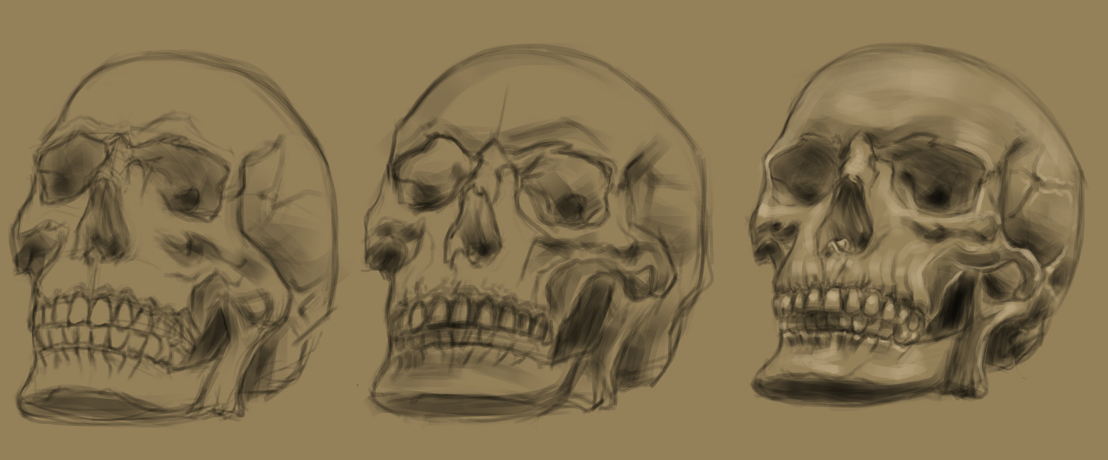 Evolution - My, Sketch, Scull, Drawing, Digital