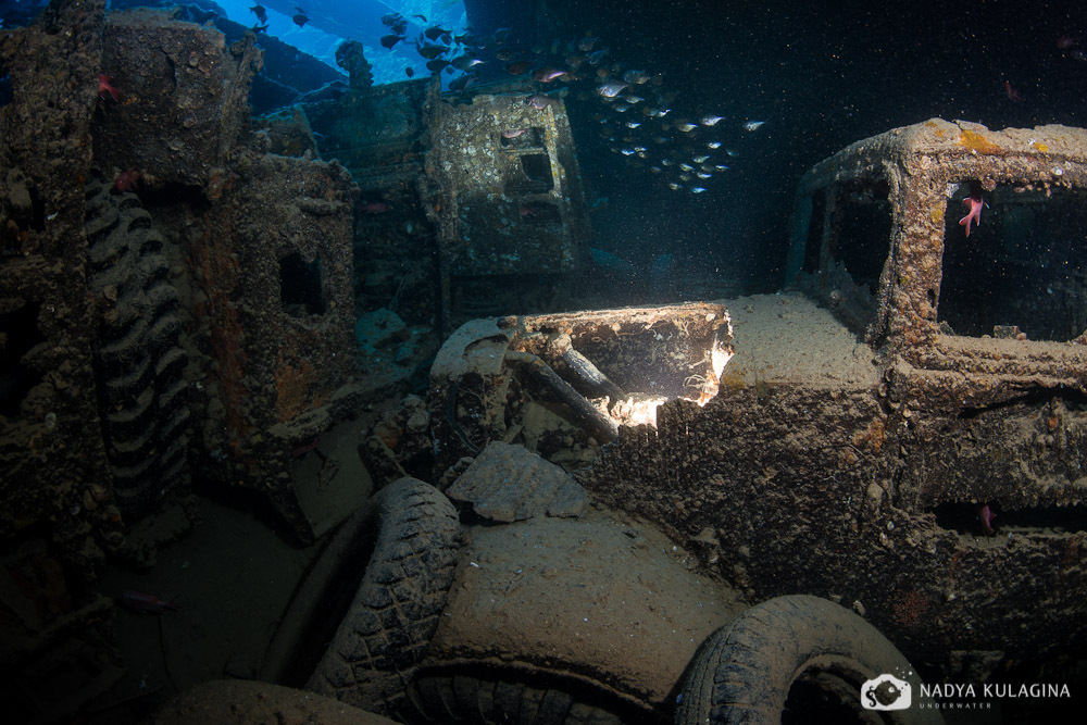 Thistelgorm - Photo, Diving, Sunken ships, Thistelgorm, Longpost