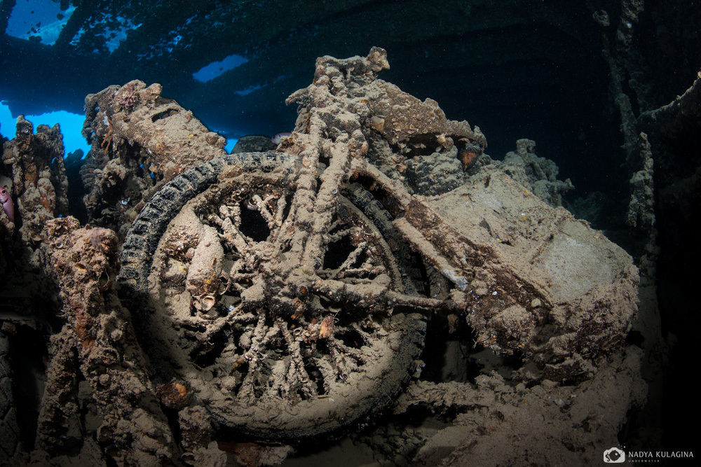 Thistelgorm - Photo, Diving, Sunken ships, Thistelgorm, Longpost