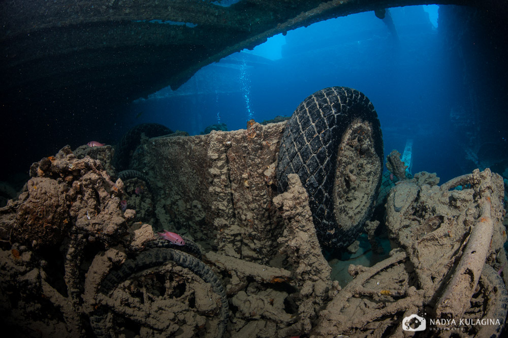 Thistelgorm - Photo, Diving, Sunken ships, Thistelgorm, Longpost