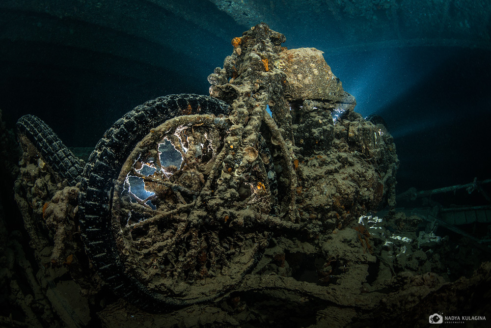 Thistelgorm - Photo, Diving, Sunken ships, Thistelgorm, Longpost