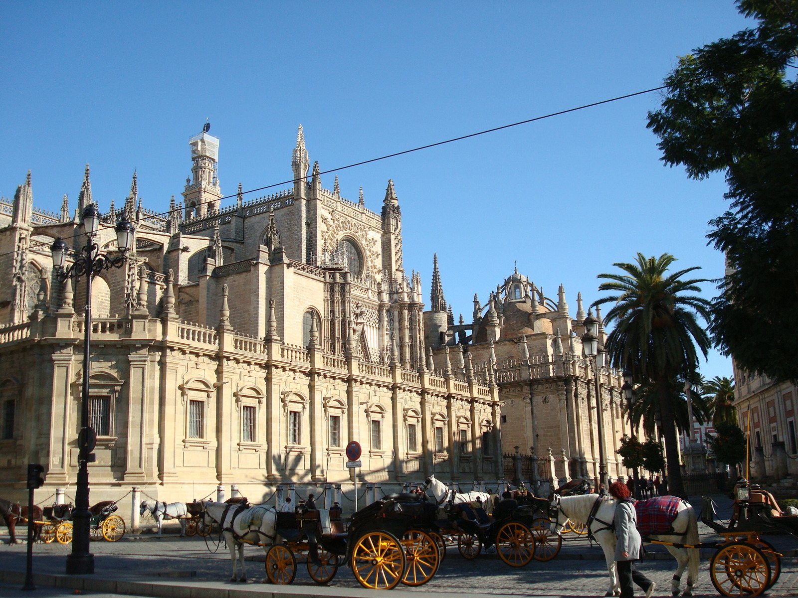 Spain. Seville. - My, Spain, Seville, Longpost