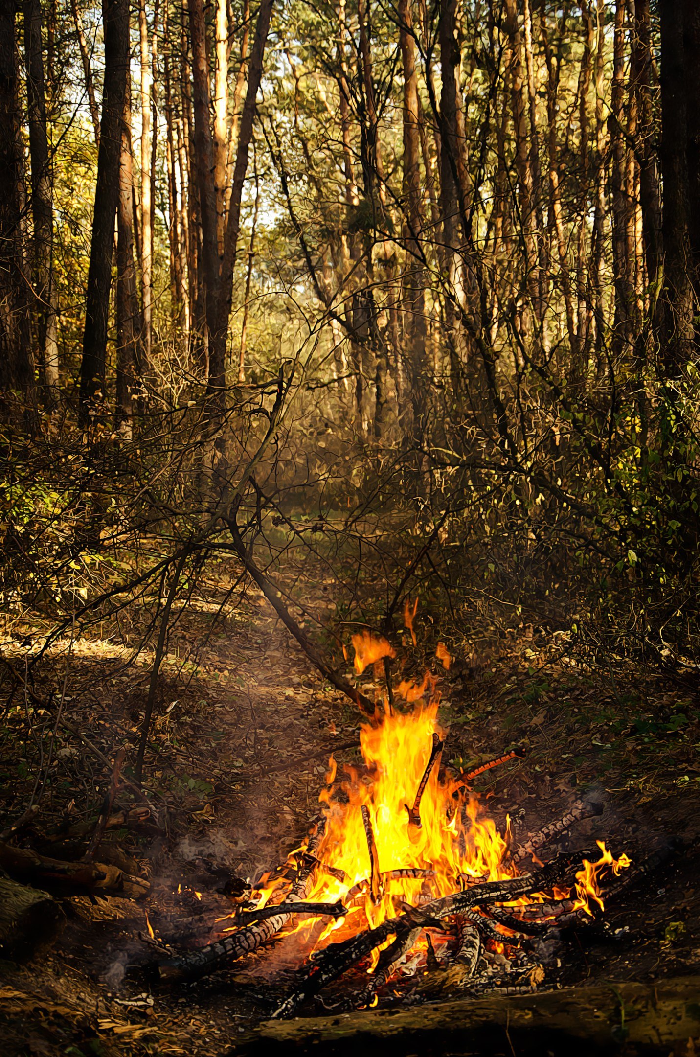 Legend of the Phoenix - My, Phoenix, Legend, PHOTOSESSION, Story, , Forest, Smoke, Longpost