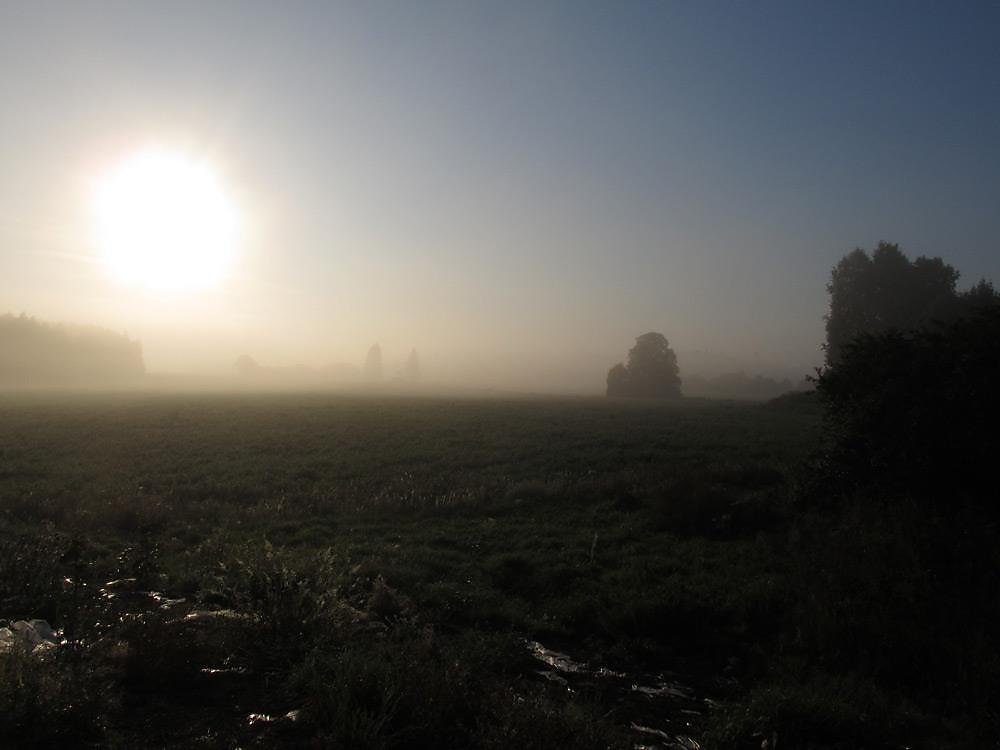 Photo from the farm - Photo, Landscape, Nature, Longpost