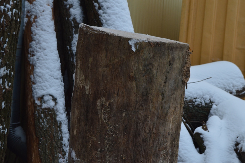 Woke up the beast - My, Chainsaw sculpture, Alexander Ivchenko, Chainsaw, Hamster, Woke up the beast, Video, Longpost