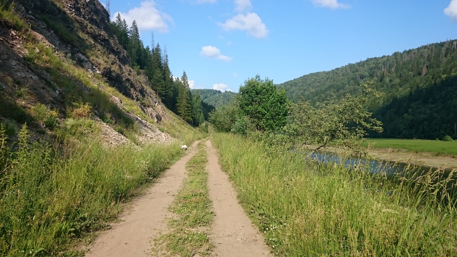 Moments of love, warmth and freedom.. - My, Nature, The photo, My, Ural, , Summer, Longpost